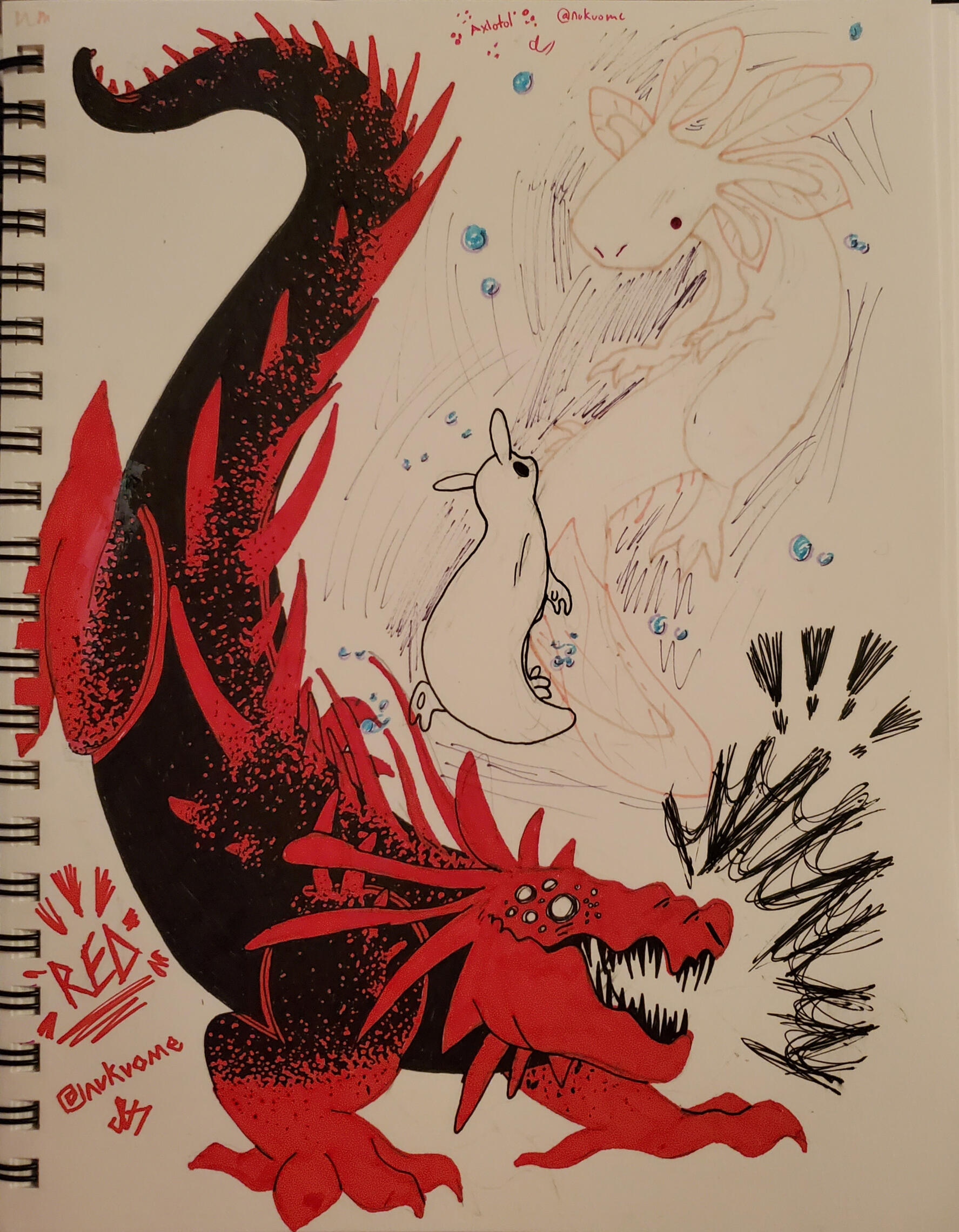 Axolotol and RED Lizard